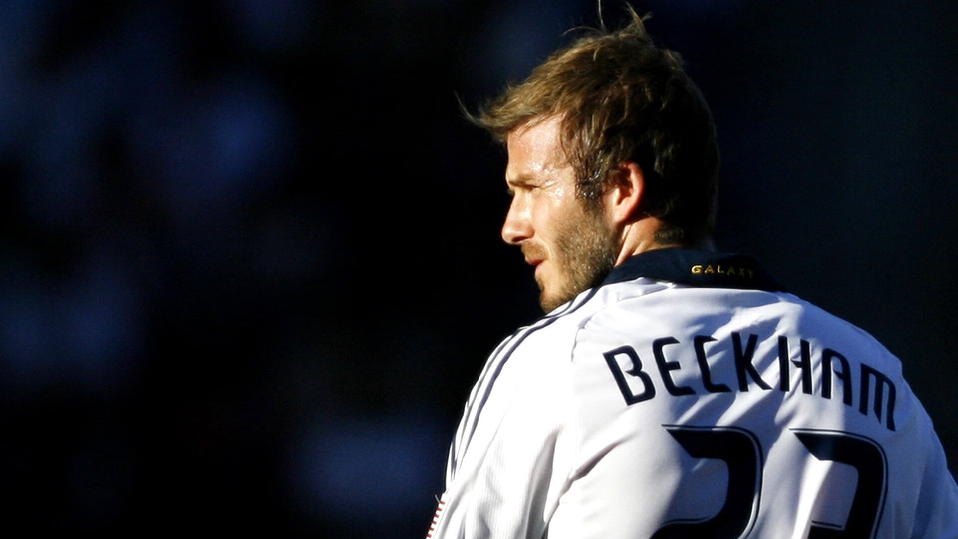 体育赛事志愿者招募