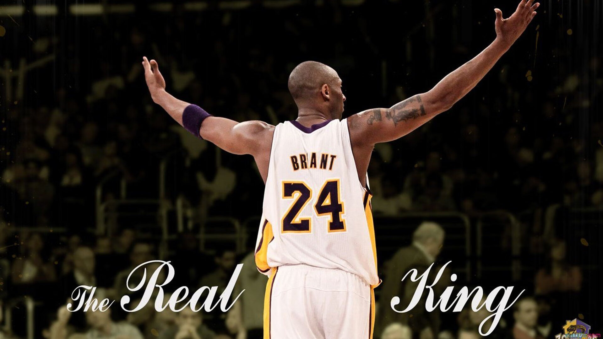 游泳冲刺创造纪录